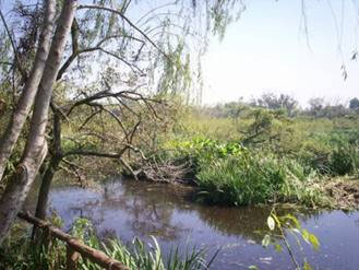 Reserva Ecológica Municipal y Refugio Natural Educativo de la Ribera Norte