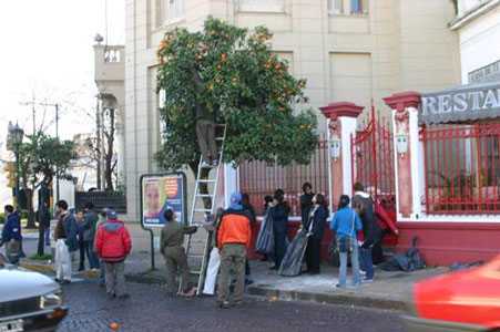 Cosecha de frutas en el cascohistórico de San Isidro Cosecha de frutas en el cascohistórico de San Isidro