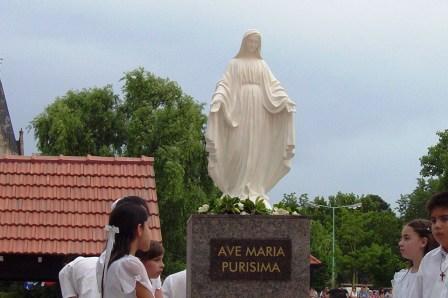 Más de 50 mil vecinos en el Día de la Virgen en Tigre