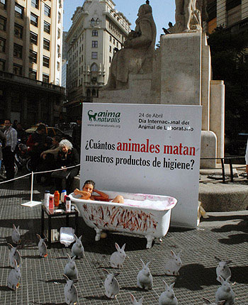Denuncian que miles de animales mueren por año en tests de empresas cosméticas