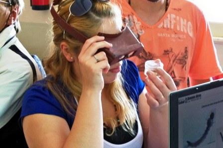 En San Fernando ,Técnicos, agentes municipales y bomberos voluntarios controlarán al vector del dengue En San Fernando ,Técnicos, agentes municipales y bomberos voluntarios controlarán al vector del dengue