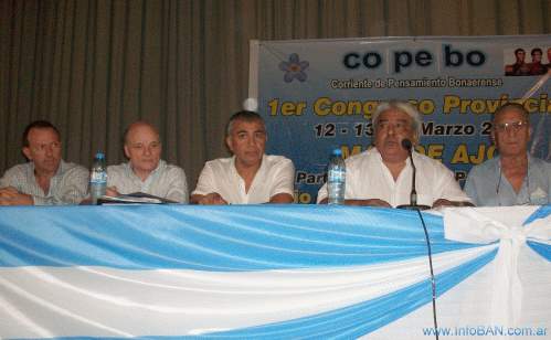 Opiniones de los integrantes del CoPeBo sobre su partido Opiniones de los integrantes del CoPeBo sobre su partido