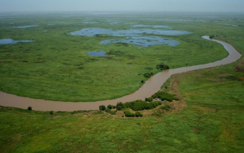 Lanzan una iniciativa sobre conservación y uso sustentable del Delta del Paraná