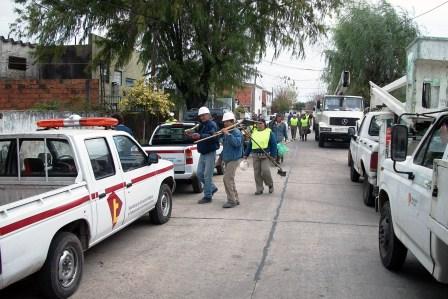 Trabajos de mantenimiento integral en Troncos del Talar Trabajos de mantenimiento integral en Troncos del Talar