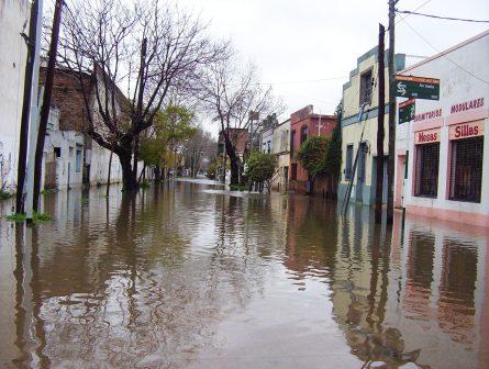 Avenida Italia éste mediodía Avenida Italia éste mediodía