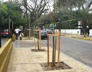 Los vecinos de San Isidro optaron por árboles y veredas