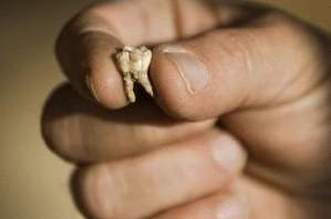 Encuentran en Israel dientes humanos antiguos 