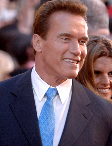 Arnold Schwarzenegger abandona la política y evalúa regresar a la actuación. Arnold Schwarzenegger abandona la política y evalúa regresar a la actuación.