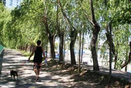 San Fernando recuperó otros 100 metros de ribera ubicados hacia el norte de la Sede Punta Chica del Consorcio Parque Náutico San Fernando recuperó otros 100 metros de ribera ubicados hacia el norte de la Sede Punta Chica del Consorcio Parque Náutico