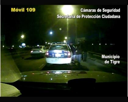 Tigre: Audaz arrebatador cayó filmado con las cámaras Tigre: Audaz arrebatador cayó filmado con las cámaras
