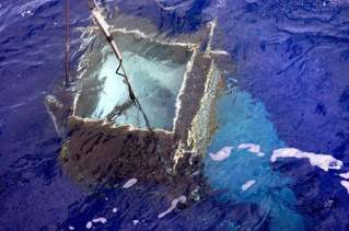 Una expedición científica encontró las aguas más transparentes del planeta Una expedición científica encontró las aguas más transparentes del planeta