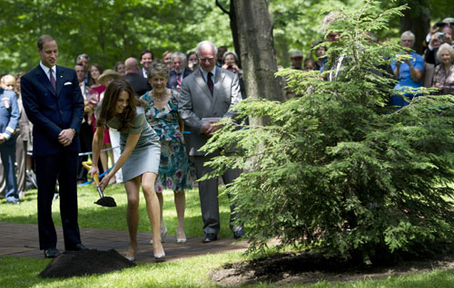 Catherine Middleton y el príncipe William ya tiene un árbol en Canadá Catherine Middleton y el príncipe William ya tiene un árbol en Canadá