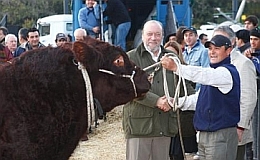 Junior, el primer animal en ingresar a La Rural Junior, el primer animal en ingresar a La Rural