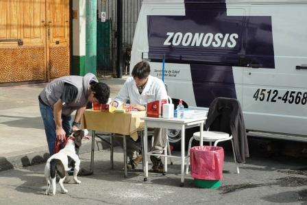 Más servicios en el Centro de Zoonosis Más servicios en el Centro de Zoonosis