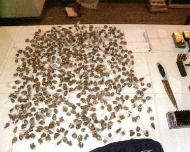 Secuestran importante cantidad de droga en San Isidro Secuestran importante cantidad de droga en San Isidro