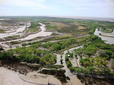 Ambientalistas reclaman que el tratamiento de la ley que protege a los humedales Ambientalistas reclaman que el tratamiento de la ley que protege a los humedales
