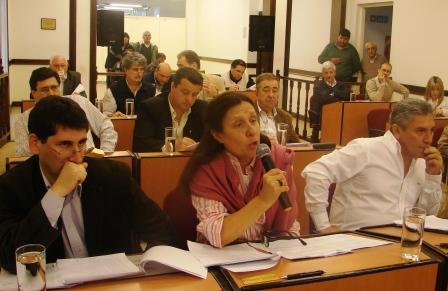 El HCD de San Fernando trató un pedido de informe del centro de monitoreo de cámaras de seguridad El HCD de San Fernando trató un pedido de informe del centro de monitoreo de cámaras de seguridad