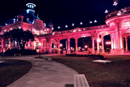 El Museo de Arte de Tigre se viste de rosa Contra el Cáncer de Mama