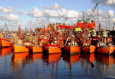 Reconvertirán la flota de los pescadores de Mar del Plata