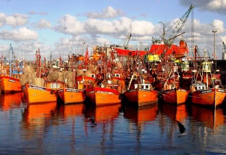 Reconvertirán la flota de los pescadores de Mar del Plata Reconvertirán la flota de los pescadores de Mar del Plata