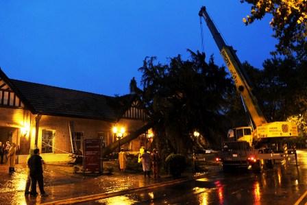 El municipio de Tigre, debió realizar numerosas tareas de remoción de arboles caídos, recolección de ramas a causa de los fuertes vientos y lluvias registrados en la jornada El municipio de Tigre, debió realizar numerosas tareas de remoción de arboles caídos, recolección de ramas a causa de los fuertes vientos y lluvias registrados en la jornada