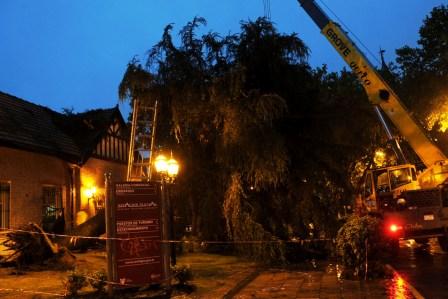 El municipio de Tigre, debió realizar numerosas tareas de remoción de arboles caídos, recolección de ramas a causa de los fuertes vientos y lluvias registrados en la jornada El municipio de Tigre, debió realizar numerosas tareas de remoción de arboles caídos, recolección de ramas a causa de los fuertes vientos y lluvias registrados en la jornada