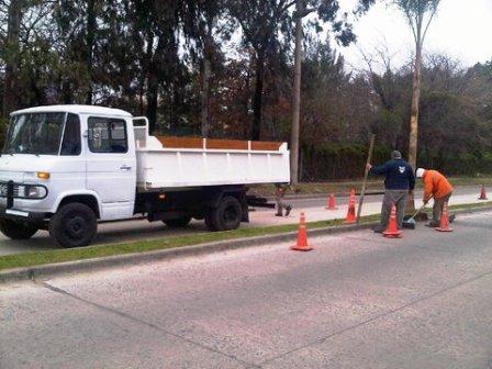 Realizan tareas de mantenimiento en Tigre tras el temporal Realizan tareas de mantenimiento en Tigre tras el temporal
