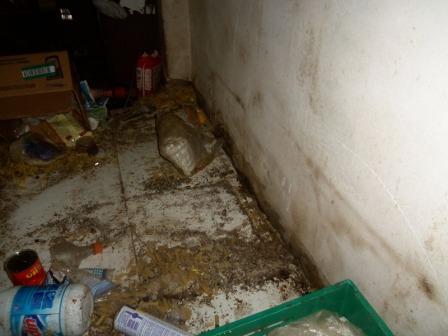 Cese de oficio para supermercado en Garin por graves faltas de salubridad Cese de oficio para supermercado en Garin por graves faltas de salubridad