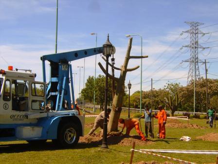 Comenzó en Tigre el plan de poda 2012 Comenzó en Tigre el plan de poda 2012