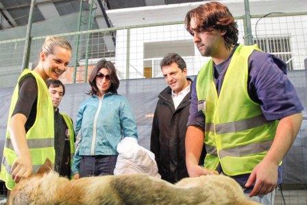 Massa junto a Liz Solari y famosos, por la salud de las mascotas