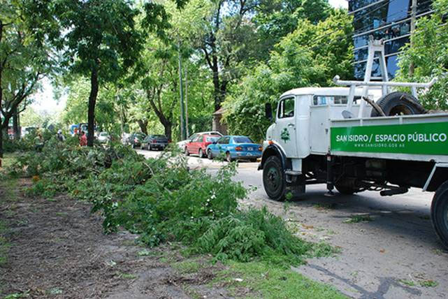 En San Isidro refuerzan el mantenimiento del arbolado tras el temporal 