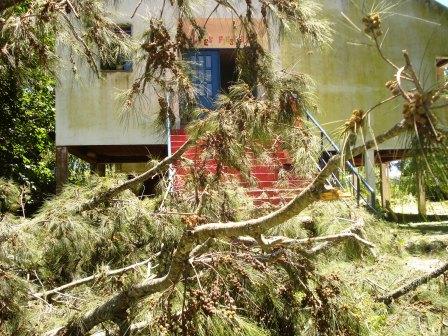 Tras el fuerte temporal, el Municipio de San Fernando decretó emergencia en la 2º y 3º Sección de Islas 