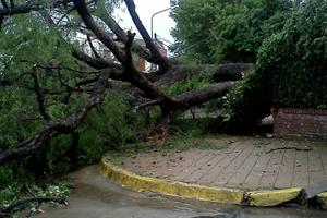 Un fuerte temporal causó destrozos en la Zona Norte Un fuerte temporal causó destrozos en la Zona Norte