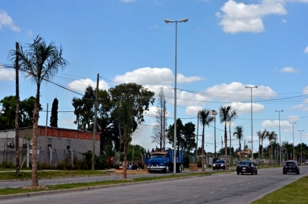 San Fernando plantó más de 3 mil árboles para embellecer los principales accesos al distrito San Fernando plantó más de 3 mil árboles para embellecer los principales accesos al distrito