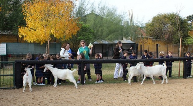 La Chacra Educativa San Isidro Labrador reabre sus puertas La Chacra Educativa San Isidro Labrador reabre sus puertas