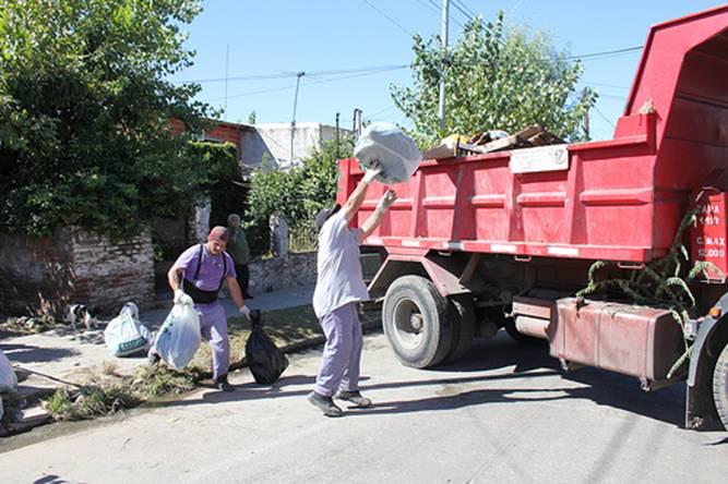 Amplio operativo de limpieza y vacunación en el bajo Boulogne Amplio operativo de limpieza y vacunación en el bajo Boulogne