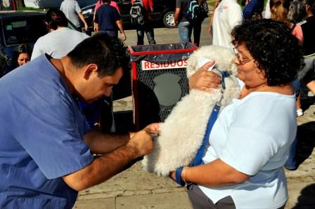 Aplican más de 600 vacunas a mascotas de diferentes barrios de San Martín Aplican más de 600 vacunas a mascotas de diferentes barrios de San Martín