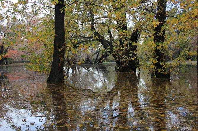 Anuncian en San Isidro la construcción de reservorios para evitar inundaciones Anuncian en San Isidro la construcción de reservorios para evitar inundaciones