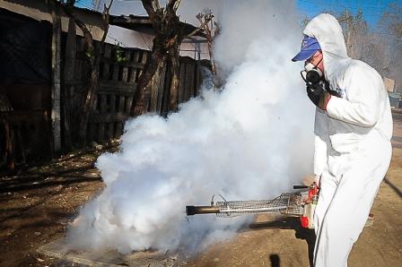 Realizan tareas de fumigación en Tigre Realizan tareas de fumigación en Tigre