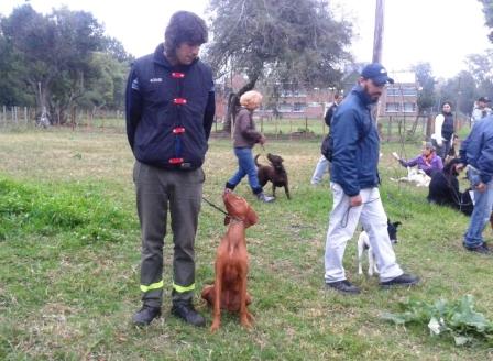 Ofrecen talleres gratuitos de adiestramiento canino en San Fernando Ofrecen talleres gratuitos de adiestramiento canino en San Fernando