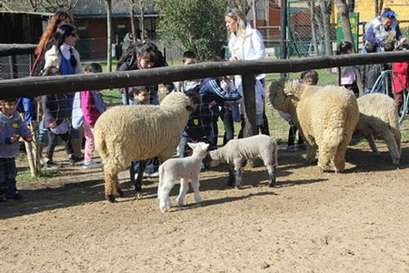 Más de 2.500 niños festejaron su día en la chacra San Isidro Labrador Más de 2.500 niños festejaron su día en la chacra San Isidro Labrador