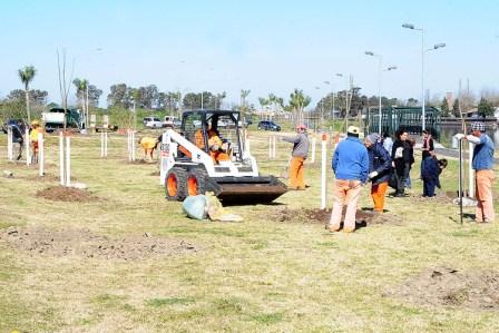 Tigre celebró la Semana del árbol Tigre celebró la Semana del árbol