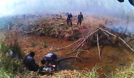 El trabajo coordinado por Protección Ciudadana de San Fernando, permitió extinguir un gran incendio en las Islas