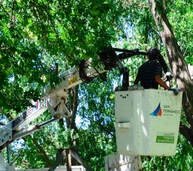 El Municipio de San Fernando realizó tareas de remoción de árboles caídos y trabajos de limpieza tras los fuertes vientos El Municipio de San Fernando realizó tareas de remoción de árboles caídos y trabajos de limpieza tras los fuertes vientos