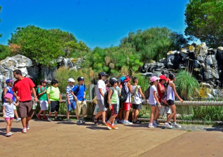 Los chicos de las colonias de verano de San Fernando visitaron el parque Temaikén Los chicos de las colonias de verano de San Fernando visitaron el parque Temaikén