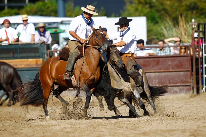 San Isidro participará en la exhibición Nuestros Caballos San Isidro participará en la exhibición Nuestros Caballos