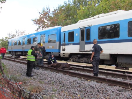 Un tren del Mitre arrolló carro cartonero en Tigre