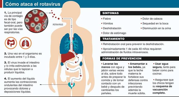 Cómo prevenir diarreas e infecciones respiratorias en niños