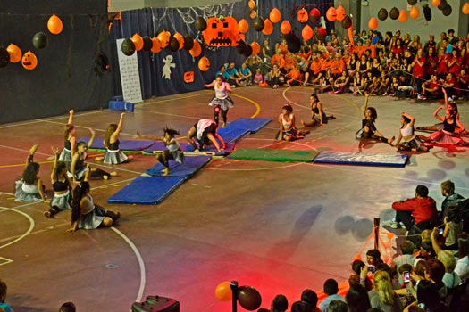 En el Polideportivo N° 1 de San Fernando se realizó la “Gimnasiada 2014” 