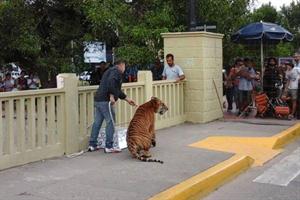 Polémica por la filmación de un spot publicitario en Tigre